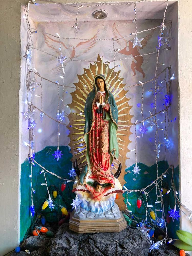 The Virgin of Guadalupe is the most common religious icon in Mexico. This shrine adorned with glitter and lights was inside a horse tack shop in the rural town of Mascota. 