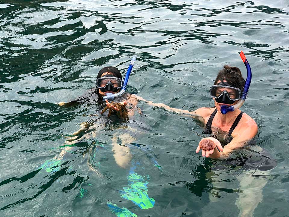 A snorkel trip with Juan Bravo is always a great adventure. This trip Juan found a sea star for Mae and a sea urchin for Jonna. We also saw a striped moray eel. All animals were returned to their habitat after photos were taken. 