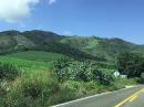 Much of our Mexican road trip was filled with lush vegetation and agriculture. 