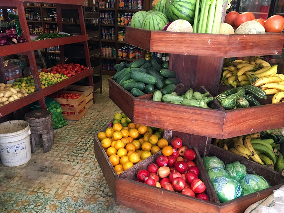 We were so surprised by the variety and freshness of the produce available in the little tienda in the middle of Yelapa. We could hardly find this beautiful of produce in Puerto Vallarta! 