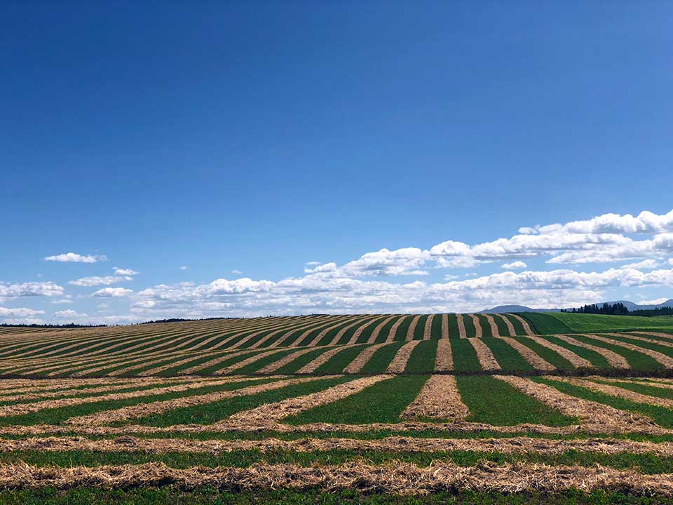 Plowed farm fields create an interesting geometric design in southeast Idaho.