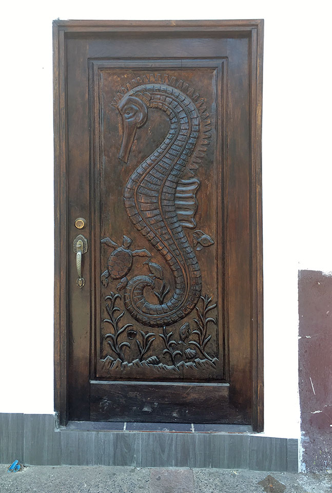 We loved the marine animal carvings on this beautiful door. Everywhere you look, a unique door or window appears...