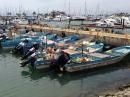 Panga fishing fleet at La Cruz.