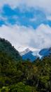 Franz Josep Glacier : View from town