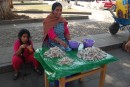 A senora selling small white fish at the plaza in Santa Fe de la Laguna