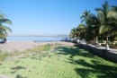 Lagoon in La Manzanilla