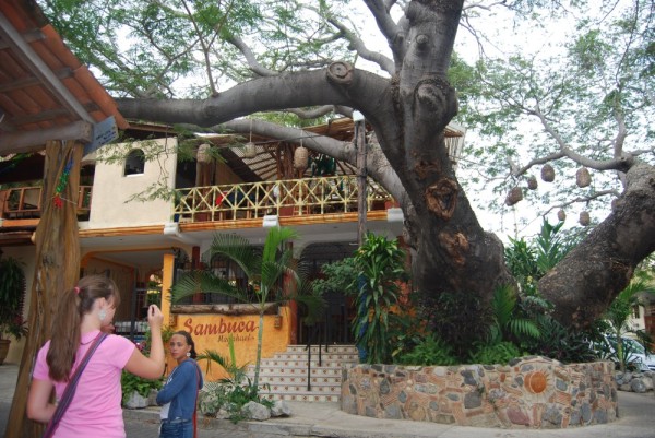 Lovely tree house restaurant in Barra