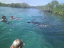 Swimming with sea lions, Puerta Villamil, Isabella - Galapagos