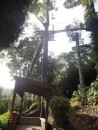 Botanical Gardens - rope bridge