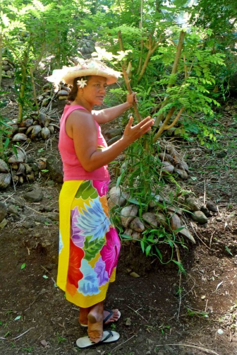 Organic Vanilla farmer explaing her process of growing the orchid.