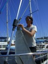 Kirsten attaching the jib sail