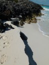 Some of the beaches had ledges cut into the sand, like this one.