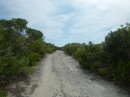We walked the island over this old road.