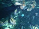 Here I am feeding the fish inside the grotto. We brought ziplock bags of bread crumbs but I