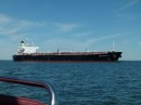 Here is the ship.  The Delaware Bay was the only place we really saw much commercial shipping.  