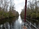 The Dismal Swamp pretty much looks like this the whole way.  It was really beautiful and very easy to negotiate.
