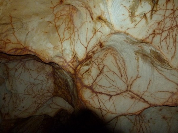 One area of the cave had these reddish veins all over the ceiling.