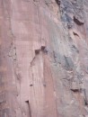 Rock Climbers in Zion NP