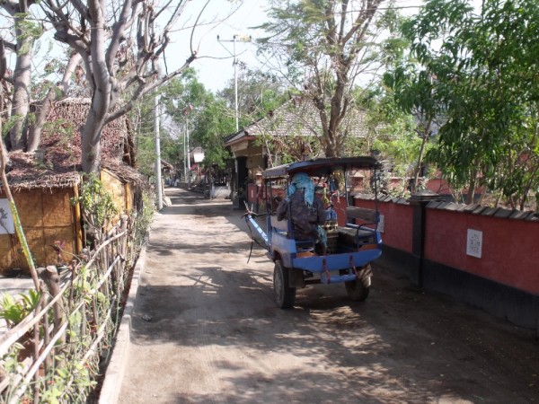 Pony carts. The popular mode of travel on the island Gili Air