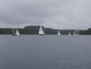 Friday sailboat races in the harbour