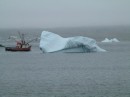 Icebergs in Newfoundland