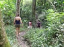 Walking tour though the jungle