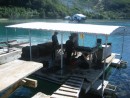 Oysters are removed by divers first and then cleaned with high pressure hoses