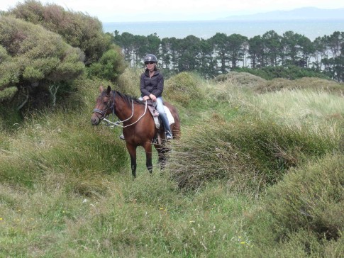 Horseback rides on the Farewell Spit