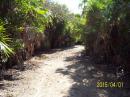 Dirt path on Whale Cay
