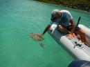Ric touching the sea turtles