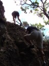 Climbing at Owhatanga Bay