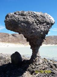 Mexico/Baja California : Mushroom Rock in Playa Balandra
