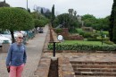 Arcadia Park by Union Buildings in Pretoria  -  12.11.2014  -  Southafrica