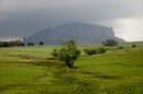 Mighty Drakensberg Mountains  -  10.11.2014  -  Southafrica