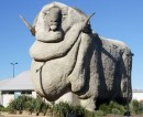 The Wool icon - Merino sheep Stature in Goulburn