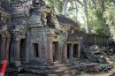 Ta Prohm temple. Unlike most Angkorian temples has been left much the same condition which it was found: the photogenic and atmospheric comination of trees growing out of the ruins and jungle surrounding have made it one of Angkor