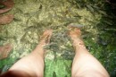 Fish pedicure with a lot of tickle der in Siem Reap - Cambodia - 18.04.2013