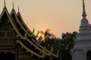 Sunset at Wat Phra Singh in Chiang Mai - Thailand - 03.04.2013