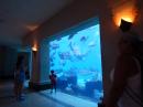Atlantis Resort: Aquarium