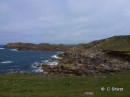 North coast of Bryher, we walked here briefly and would have liked to return but the weather forecast took a turn for the worse. Time to clear out.