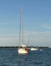Sole Mate - #26: Another Tartan 37 anchored next to us in Pelican Bay, FL