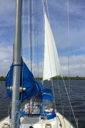 Anchor Sail: Great Basement Find