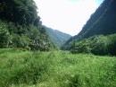 Up into the valley on Tahiti.