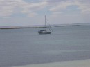 Venture at anchor in Homestead Bay - Reevesby Island
