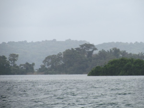 Checking out the scenery in Gatun Lake 