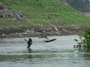 Birds in flight on man made lake in Suchitoto
