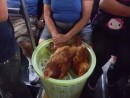 Chickens travel for 1/2 fare