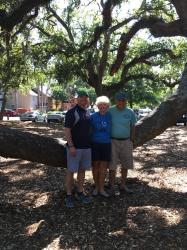 Scott, Cynthia and Tom: Scott was with us Saturday and had a car to take us around.  This is an enormous tree right near the marina.  They have a 4x4 holding up the limb