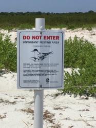 Bird nesting are at New Smyrna : This area was roped off to assist with nesting birds