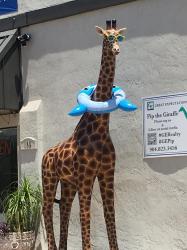 Pip the giraffe: Advertising a real estate office in St. Augustine 